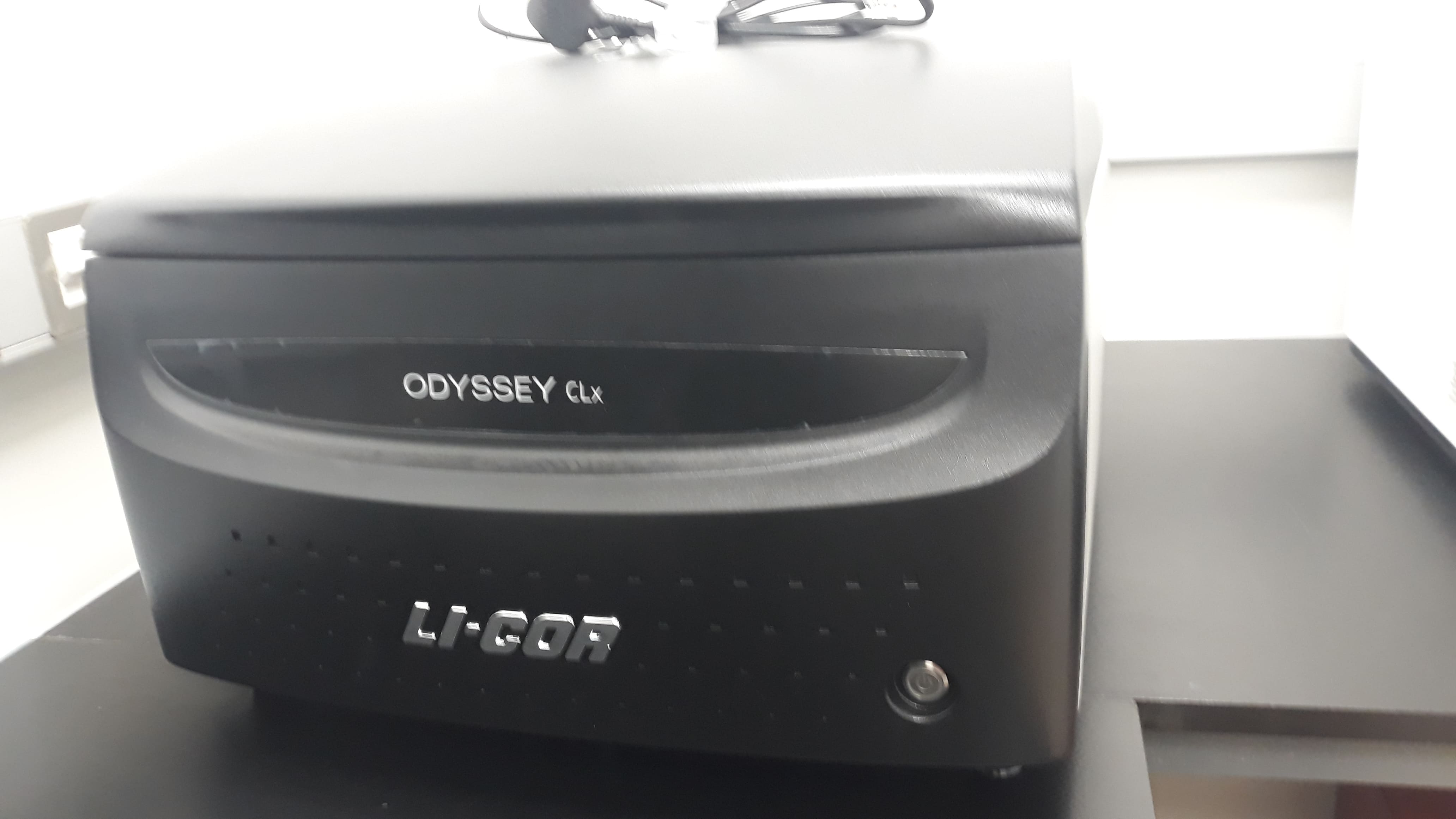 Li-COR CLx Western Blotting imaging system [Lex]